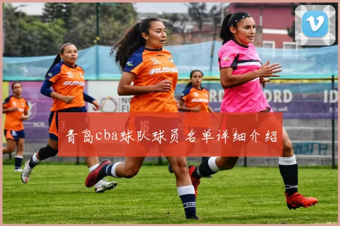 青岛cba球队球员名单详细介绍